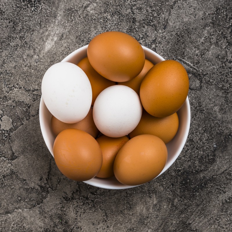 Egg